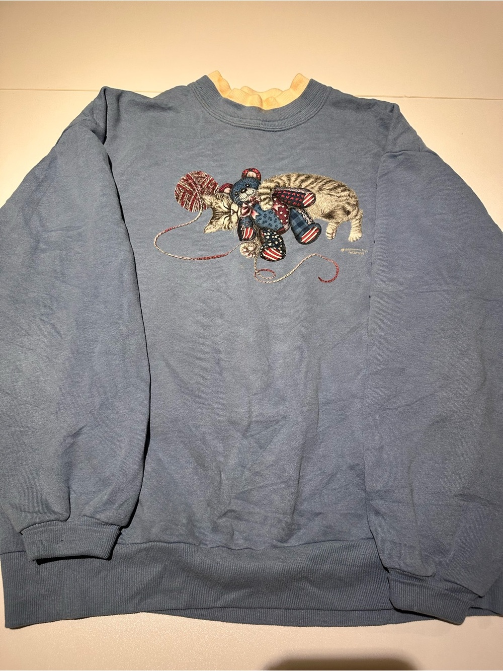 Men's Blue Crewneck Sweatshirt with Embroidered Cat & Toy Accent